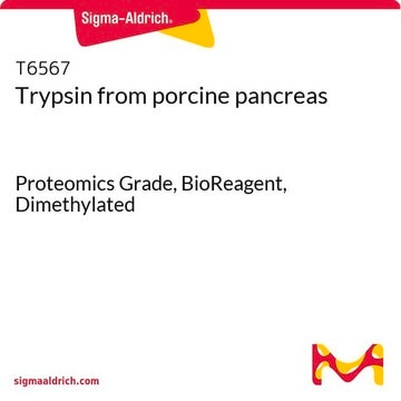 Trypsin aus Schweinepankreas Proteomics Grade, BioReagent, Dimethylated