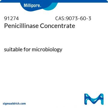 Penicillinase-Konzentrat suitable for (Antibiotic inactivation), vial of 100&#160;mL