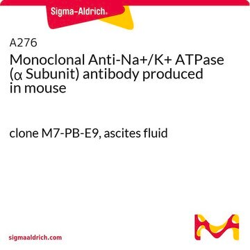 Monoclonal Anti-Na+/K+ ATPase (&#945; Subunit) antibody produced in mouse clone M7-PB-E9, ascites fluid