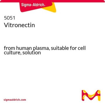 Vitronectin from human plasma, solution, suitable for cell culture