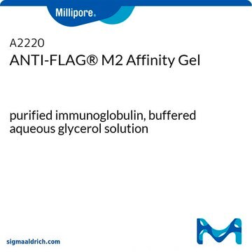 ANTI-FLAG&#174; M2 Affinity Gel purified immunoglobulin, buffered aqueous glycerol solution