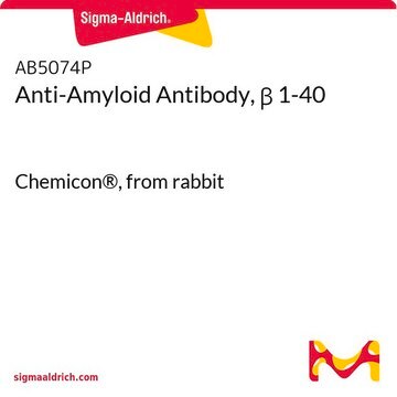 Anti-Amyloid Antibody, &#946; 1-40 Chemicon&#174;, from rabbit