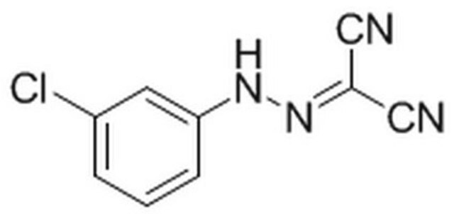 Carbonyl Cyanide m-Chlorophenylhydrazone Protonophore. Uncoupling agent for oxidative phosphorylation that inhibits mitochondrial function. Approximately 100 times more effective than 2,4-dinitrophenol.