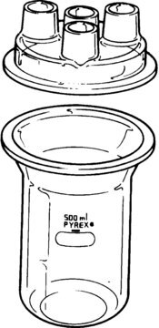 Pyrex&#174; resin reaction kettles capacity 500&#160;mL