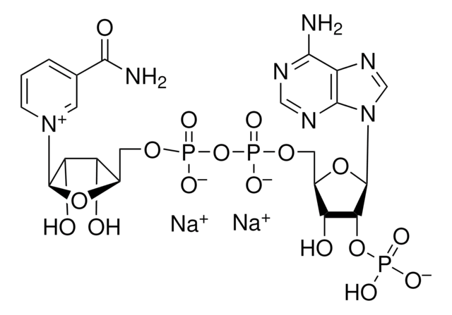 &#946;-Nicotinamid-adenin-dinucleotid-phosphat Dinatriumsalz &#8805;97% (calc. based on dry substance, enzymatic)