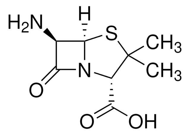 (+)-6-Aminopenicillanic acid 96%