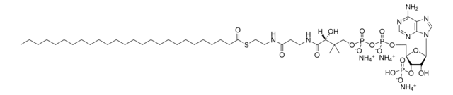 26:0 Coenzyme A Avanti Polar Lipids 870726P, powder