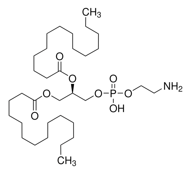 1,2-Dimyristoyl-sn-Glycero-3-Phosphoethanolamin synthetic, &#8805;99%