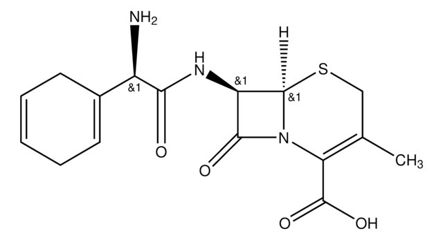 Cefradin British Pharmacopoeia (BP) Reference Standard