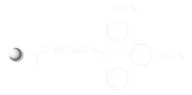 Amino-ON CPG pore size 500&#160;Å, 30-40 &#956;mol/g