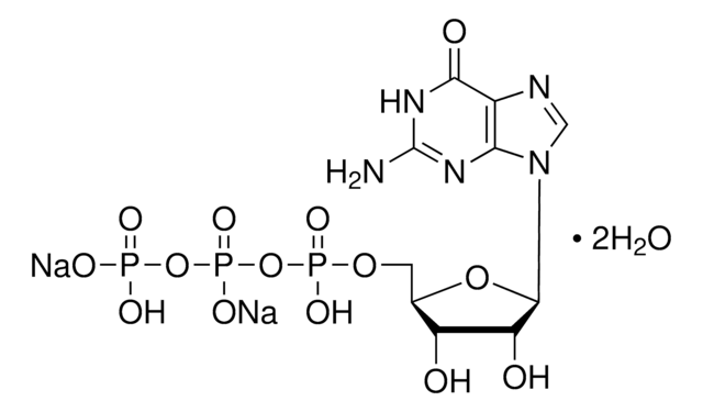 Guanosin-5&#8242;-triphosphat Natriumsalz Hydrat &gt;90% (HPLC), crystals, pkg of 250&#160;mg