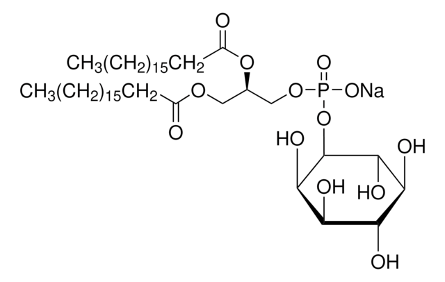 Phosphatidylinositol Natriumsalz from soybean