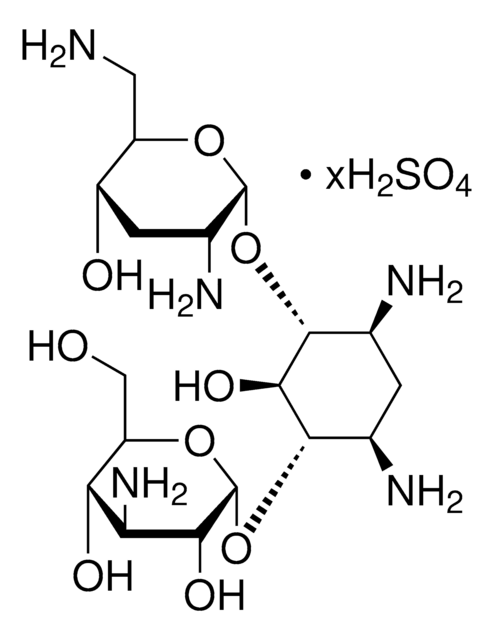 Tobramycin -sulfat (Salz) aminoglycoside antibiotic