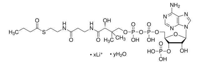 Butyryl coenzyme&#160;A lithium salt hydrate &#8805;90%