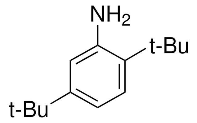 2,5-Di-tert-butylanilin 99%