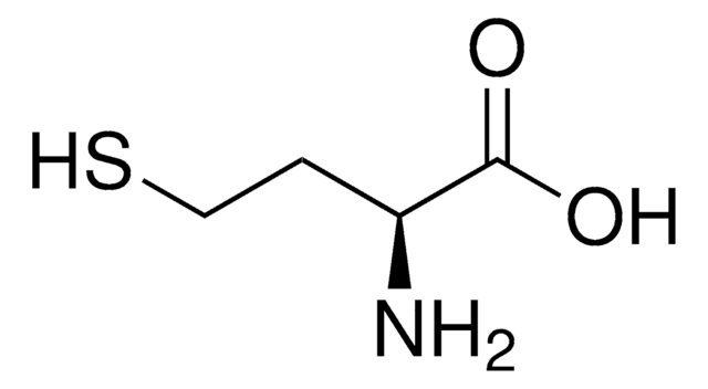 L-Homocystein &#8805;98.0% (NT)