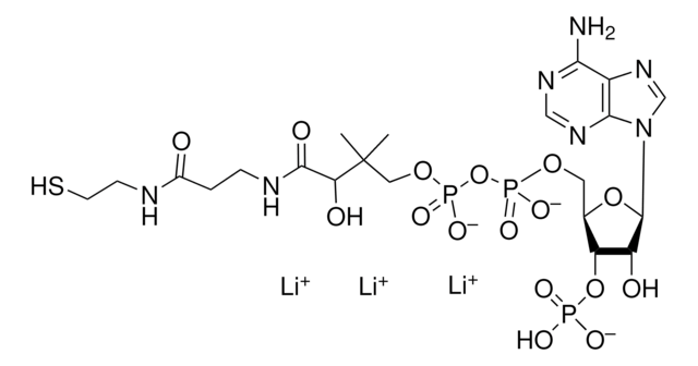 Coenzym&#160;A Trilithiumsalz &#8805;93%