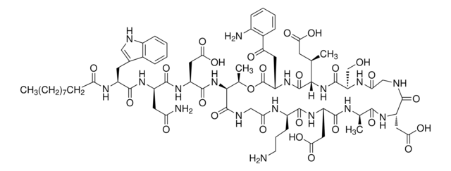 Daptomycin cyclic lipopeptide antibiotic