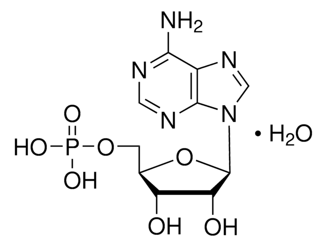 Adenosin-5&#8242;-Monophosphat Monohydrat from yeast, &#8805;97%