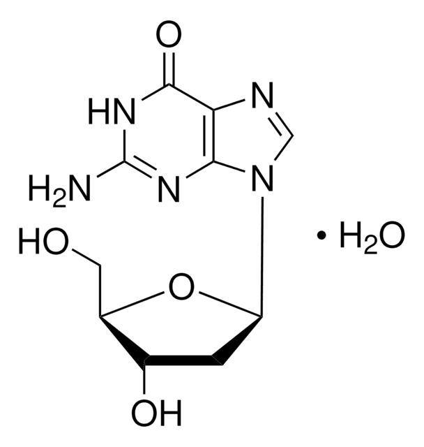 2&#8242;-Desoxyguanosin Monohydrat 99-100%