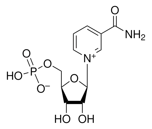 &#946;&#946;-Nicotinamid-Mononukleotid &#8805;95% (HPLC)