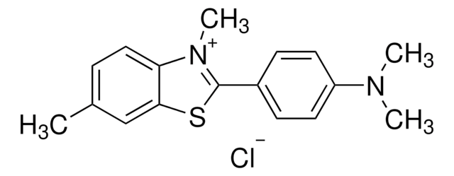 Thioflavin T used as stain for amyloid