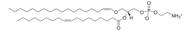 C18(Plasm)-18:1 PE Avanti Polar Lipids