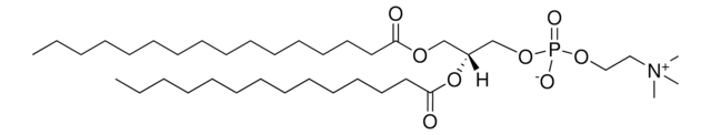 16:0-14:0 PC 1-palmitoyl-2-myristoyl-sn-glycero-3-phosphocholine, chloroform