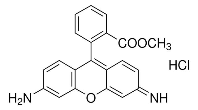 Rhodamin 123 mitochondrial specific fluorescent dye