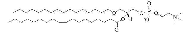 C16-18:1 PC Avanti Polar Lipids 878112P, powder