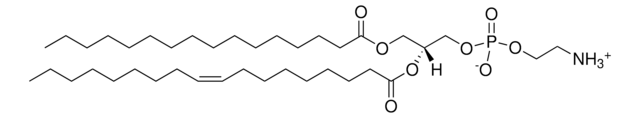 Egg Trans PE L-&#945;-phosphatidylethanolamine, transphosphatidylated (Egg, Chicken), powder