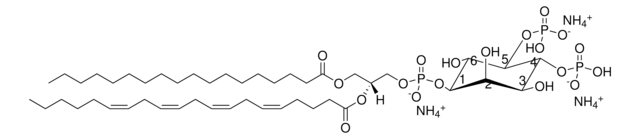 18:0-20:4 PI(4,5)P2 1-stearoyl-2-arachidonoyl-sn-glycero-3-phospho-(1&#8242;-myo-inositol-4&#8242;,5&#8242;-bisphosphate) (ammonium salt), powder