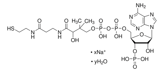 Coenzym&#160;A Dinatriumsalz cofactor for acyl transfer