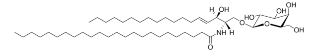 Cerebrosides (Brain) Avanti Polar Lipids