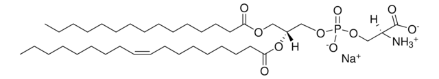 15:0-18:1 PS Avanti Polar Lipids