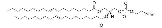 18:1 (&#916;9-Trans) PE 1,2-dielaidoyl-sn-glycero-3-phosphoethanolamine, powder