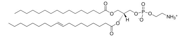 E. coli PE Avanti Polar Lipids 840027P, powder