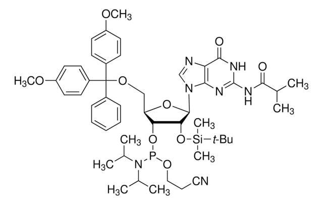 DMT-2&#8242;O-TBDMS-rG(ib)-phosphoramidit