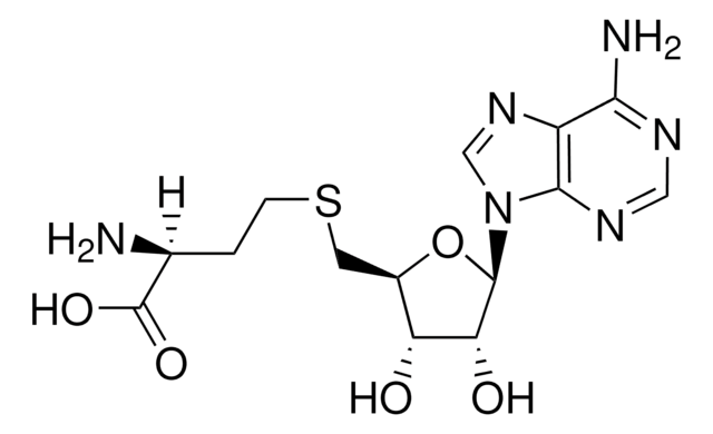 S-(5&#8242;-Adenosyl)-L-Homocystein crystalline