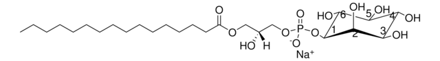 Soy Lyso PI Avanti Polar Lipids 850090P, powder