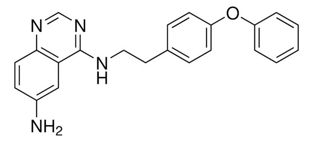 NF-&#954;B Activation Inhibitor The NF-&#954;B Activation Inhibitor, also referenced under CAS 545380-34-5, controls the biological activity of NF-&#954;B. This small molecule/inhibitor is primarily used for Inflammation/Immunology applications.