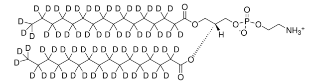 16:0 PE-d62 Avanti Polar Lipids 860372P, powder