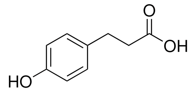 3-(4-Hydroxyphenyl)propionsäure 98%