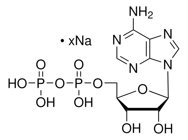 Adenosin-5&#8242;-diphosphat Natriumsalz bacterial, &#8805;95% (HPLC)