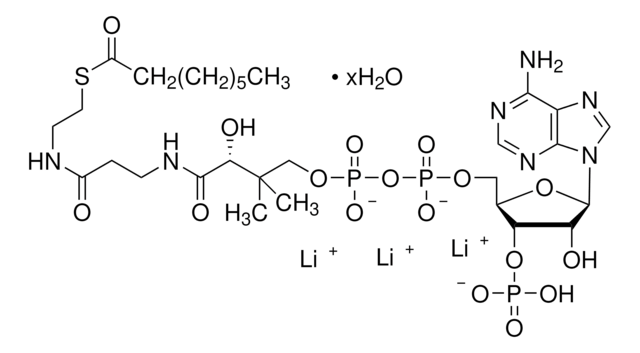 Octanoyl coenzyme&#160;A lithium salt hydrate &#8805;95% (HPLC)