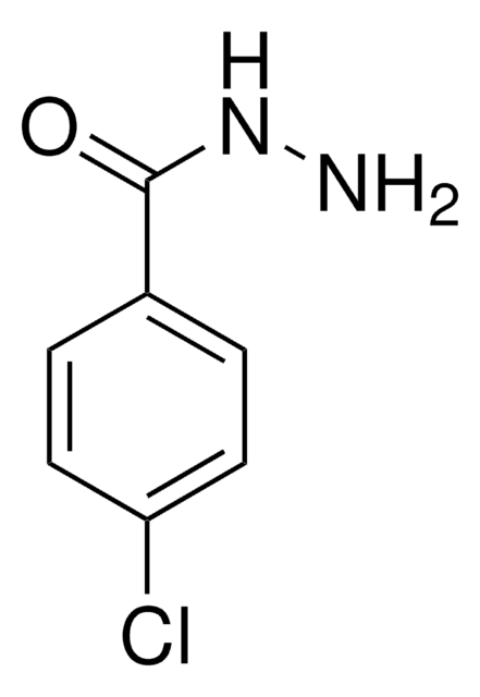 4-Chlor-benzhydrazid 98%