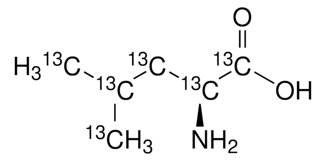 L-Leucin-13C6 98 atom % 13C, 95% (CP)