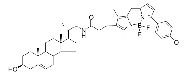 TopFluor TMR cholesterol powder, Avanti Polar Lipids