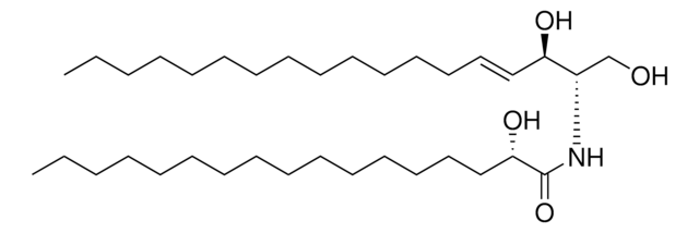 17:0(2S-OH) Ceramide Avanti Polar Lipids 860818P, powder