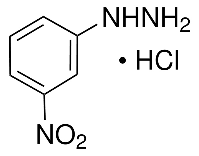 3-Nitrophenylhydrazin -hydrochlorid 98%